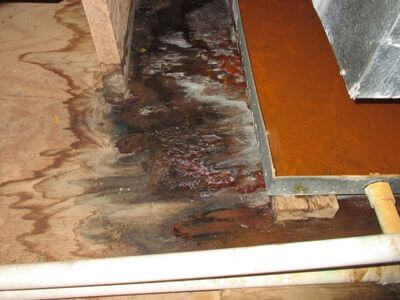 About water damage restoration service - commercial flood cleanup experts in Dallas